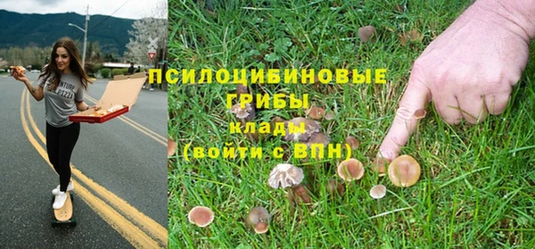 кристаллы Няндома
