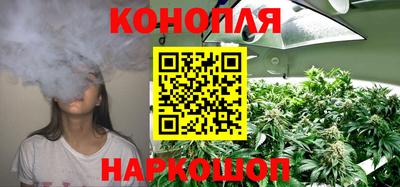 ALPHA PVP Гатчина