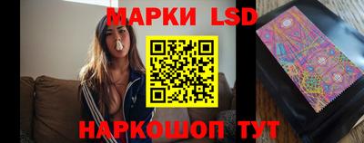 ALPHA PVP Гатчина