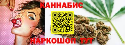 ALPHA PVP Гатчина