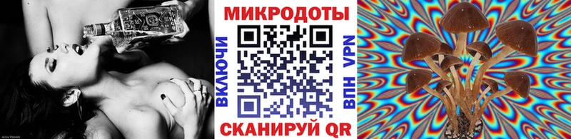 закладки  Нальчик  Псилоцибиновые грибы мицелий 